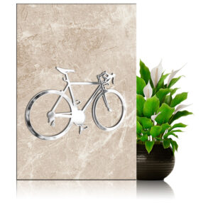 La bicicletta 3134